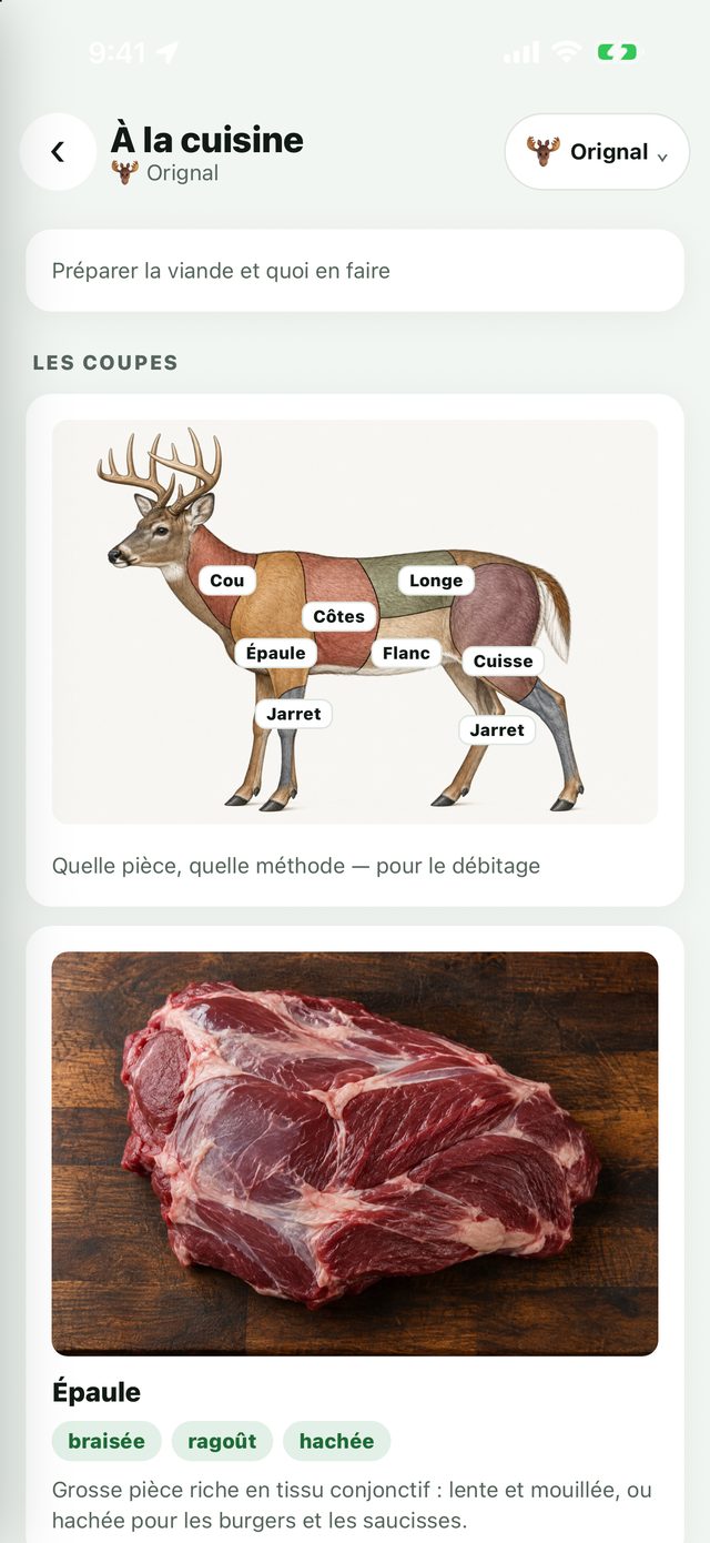 Le plan des coupes de viande
